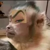 jxseruzm