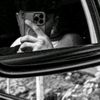 sadxfresstylef