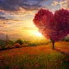 andreea_lu14