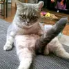 madam6436