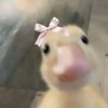 pwttiesflcc