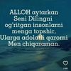aminjon465