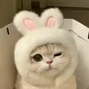 1_quocanh