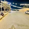 alihassan502604