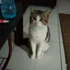 imdrowninginyoureyes