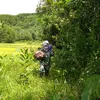 Doan Huy Huong