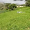etovanmadyan