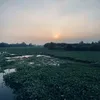 conmeolangthang000000