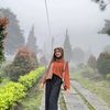 flynylaaa
