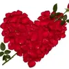 user39344511917380