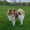malimbaaa