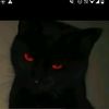 jose7361jcm