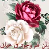 ayman73896