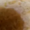 blanknamemf