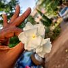 hawaoumouhammad