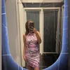 flamingoluchii