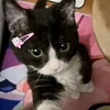 cacau.toria