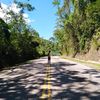 pardo_2023
