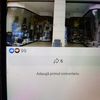 alexjuncargmail.com