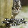 adindacyank