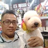 nguyenhungcctybd
