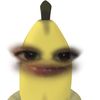 elis_ca2