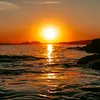murni_769
