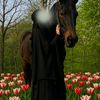 islam.talk72