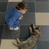 fatima_ib2