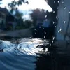 leemoonyong79