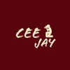 CeeJay Vizuals
