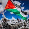 el_zakhawi_