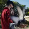 damian_silvi
