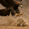 mohamedhabeeb27