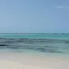 giseleditcarlo435