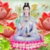 binhminhlen2