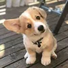 linhsumy97