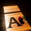 alikaya190535