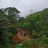 iyanpud