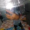 thaily_254