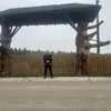 dezsokosardi