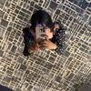 mimi_princesse7