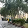 tosaif10
