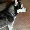 kikito121212