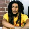 user3088552508020bob