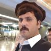 taza_gull2
