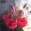 claudineselles