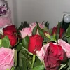02.zeyneep