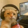 user86577825197761