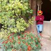 mohamed_amine_mek